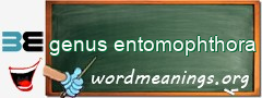 WordMeaning blackboard for genus entomophthora